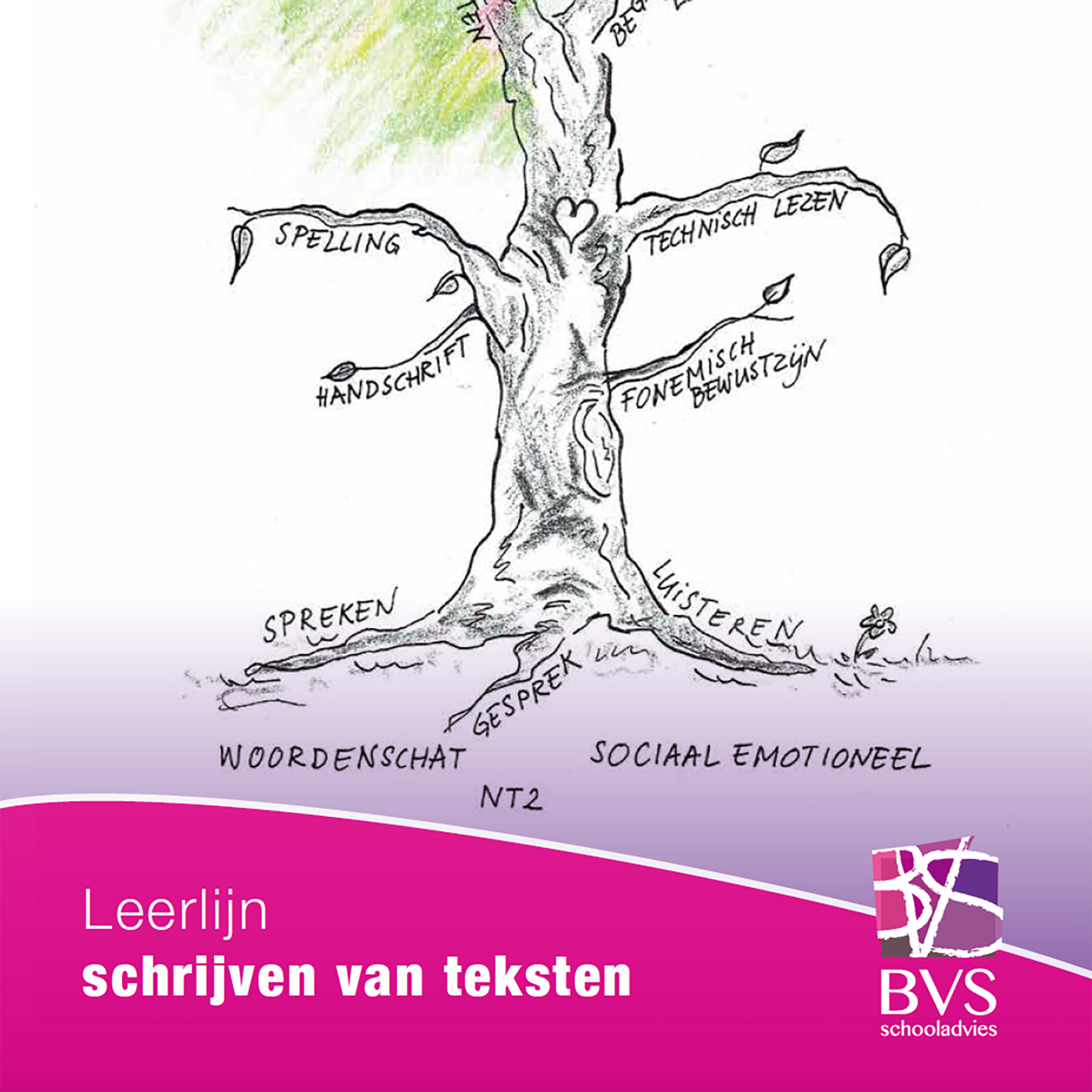 Leerlijnen & bouwstenen Taaldomein Schrijven van teksten