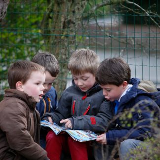 Gezichtspunten voor het schrijven van getuigschriften