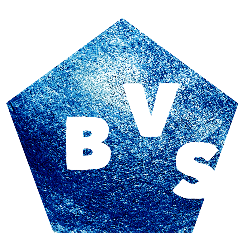 stichting BVS